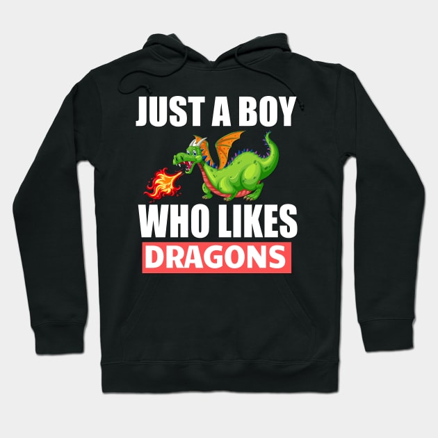 Just a Boy who likes dragons Hoodie by Realfashion